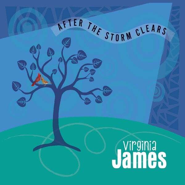 Cover art for After the Storm Clears